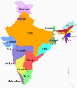 जाने भारत में कितने प्रकार की भाषाएं बोली जाती है?